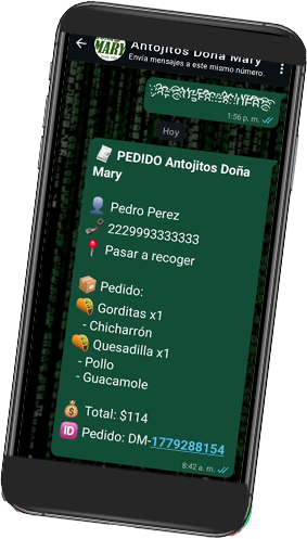 Celular Paso 5